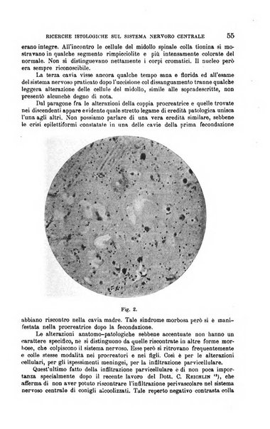 La clinica medica italiana