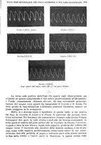 giornale/TO00181557/1913/unico/00000423