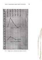 giornale/TO00181557/1937/unico/00000069