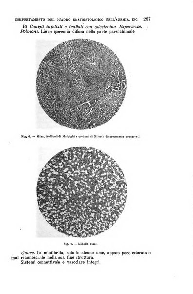 La clinica medica italiana