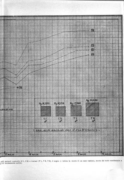 La clinica medica italiana