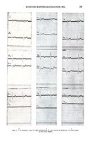 giornale/TO00181557/1942/unico/00000049