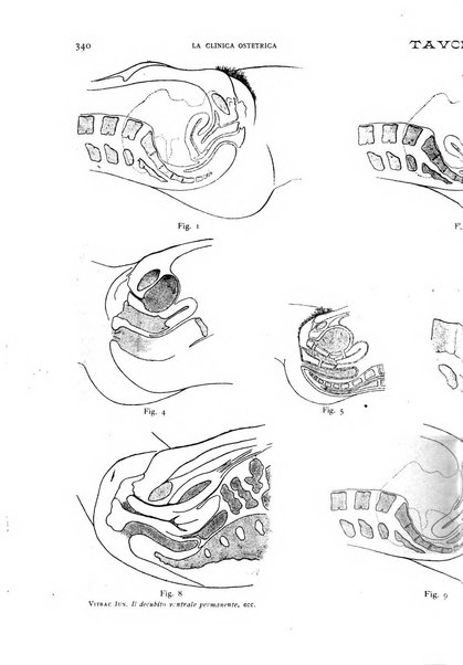 La clinica ostetrica rivista di ostetricia, ginecologia e pediatria. - A. 1, n. 1 (1899)-a. 40, n. 12 (dic. 1938)