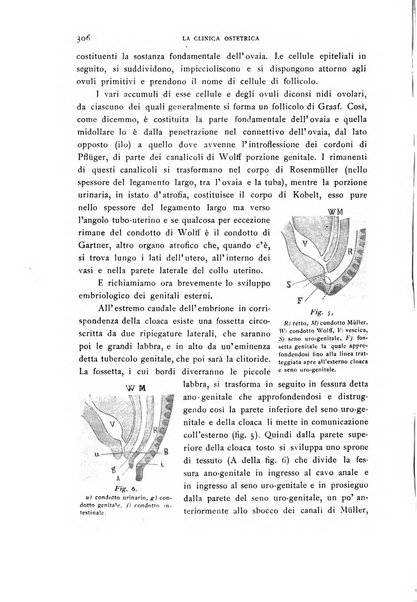 La clinica ostetrica rivista di ostetricia, ginecologia e pediatria. - A. 1, n. 1 (1899)-a. 40, n. 12 (dic. 1938)