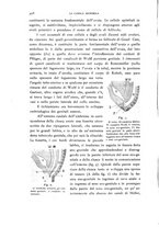 giornale/TO00181560/1901/unico/00000350