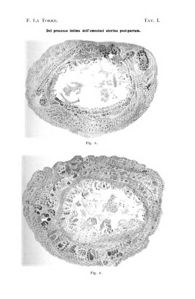 La clinica ostetrica rivista di ostetricia, ginecologia e pediatria. - A. 1, n. 1 (1899)-a. 40, n. 12 (dic. 1938)