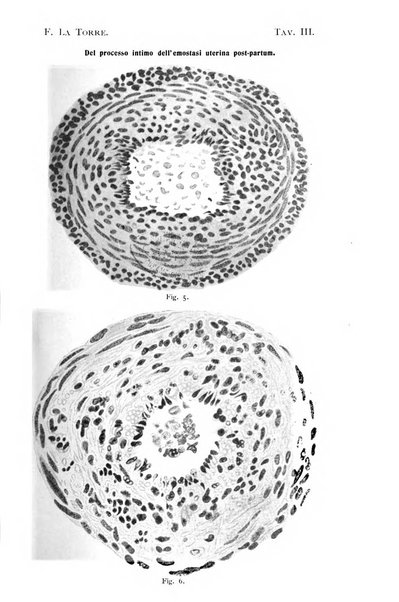 La clinica ostetrica rivista di ostetricia, ginecologia e pediatria. - A. 1, n. 1 (1899)-a. 40, n. 12 (dic. 1938)