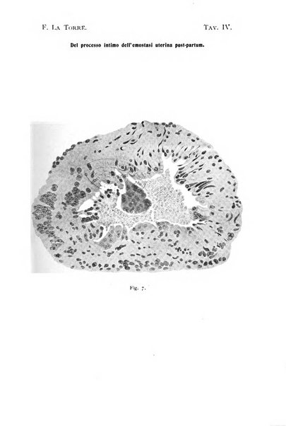 La clinica ostetrica rivista di ostetricia, ginecologia e pediatria. - A. 1, n. 1 (1899)-a. 40, n. 12 (dic. 1938)