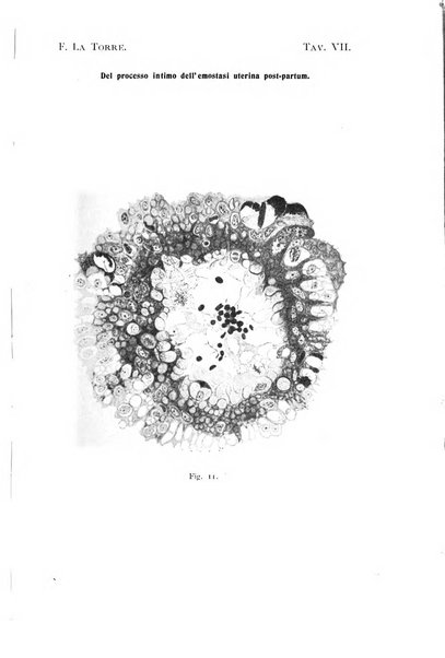 La clinica ostetrica rivista di ostetricia, ginecologia e pediatria. - A. 1, n. 1 (1899)-a. 40, n. 12 (dic. 1938)