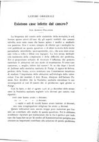giornale/TO00181560/1908/unico/00000019