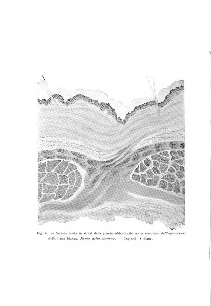 La clinica ostetrica rivista di ostetricia, ginecologia e pediatria. - A. 1, n. 1 (1899)-a. 40, n. 12 (dic. 1938)