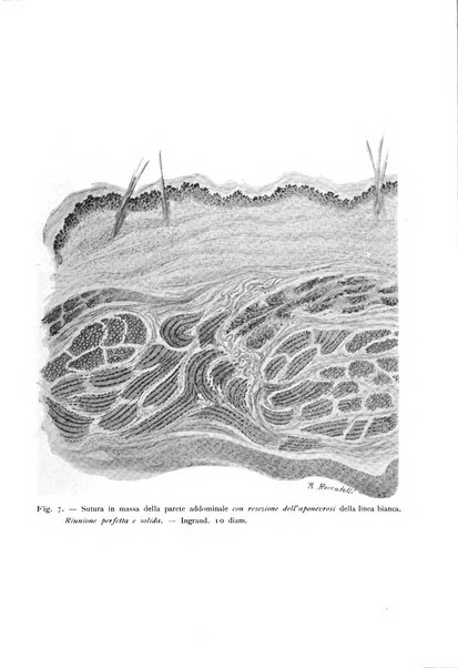 La clinica ostetrica rivista di ostetricia, ginecologia e pediatria. - A. 1, n. 1 (1899)-a. 40, n. 12 (dic. 1938)