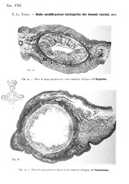 La clinica ostetrica rivista di ostetricia, ginecologia e pediatria. - A. 1, n. 1 (1899)-a. 40, n. 12 (dic. 1938)