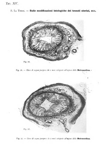 La clinica ostetrica rivista di ostetricia, ginecologia e pediatria. - A. 1, n. 1 (1899)-a. 40, n. 12 (dic. 1938)