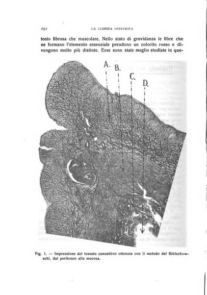 La clinica ostetrica rivista di ostetricia, ginecologia e pediatria. - A. 1, n. 1 (1899)-a. 40, n. 12 (dic. 1938)