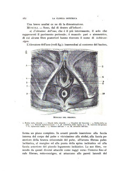 La clinica ostetrica rivista di ostetricia, ginecologia e pediatria. - A. 1, n. 1 (1899)-a. 40, n. 12 (dic. 1938)