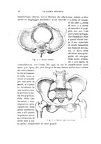 giornale/TO00181560/1917/unico/00000074