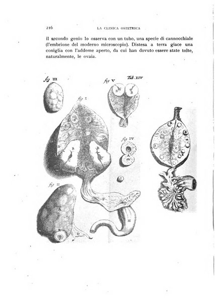 La clinica ostetrica rivista di ostetricia, ginecologia e pediatria. - A. 1, n. 1 (1899)-a. 40, n. 12 (dic. 1938)