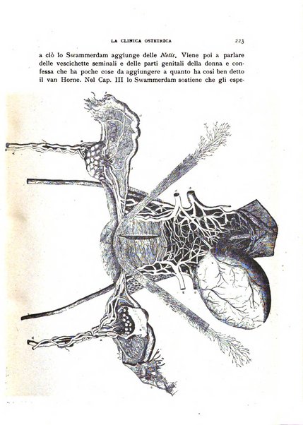 La clinica ostetrica rivista di ostetricia, ginecologia e pediatria. - A. 1, n. 1 (1899)-a. 40, n. 12 (dic. 1938)