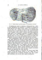 giornale/TO00181560/1920/unico/00000094