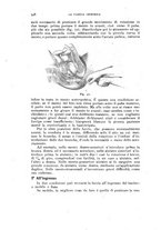 giornale/TO00181560/1923/unico/00000406