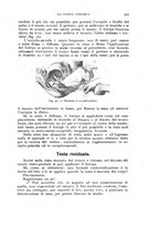 giornale/TO00181560/1923/unico/00000413