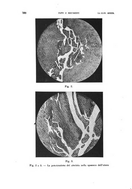 La clinica ostetrica rivista di ostetricia, ginecologia e pediatria. - A. 1, n. 1 (1899)-a. 40, n. 12 (dic. 1938)