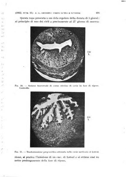 La clinica ostetrica rivista di ostetricia, ginecologia e pediatria. - A. 1, n. 1 (1899)-a. 40, n. 12 (dic. 1938)