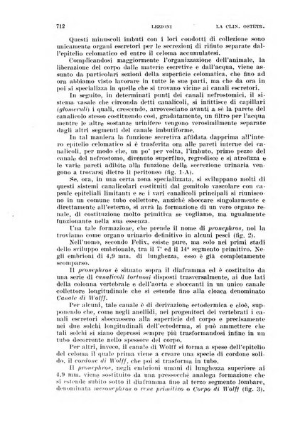 La clinica ostetrica rivista di ostetricia, ginecologia e pediatria. - A. 1, n. 1 (1899)-a. 40, n. 12 (dic. 1938)