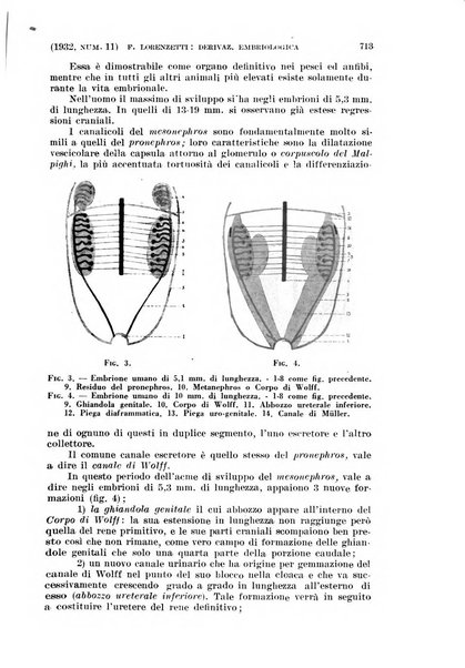 La clinica ostetrica rivista di ostetricia, ginecologia e pediatria. - A. 1, n. 1 (1899)-a. 40, n. 12 (dic. 1938)