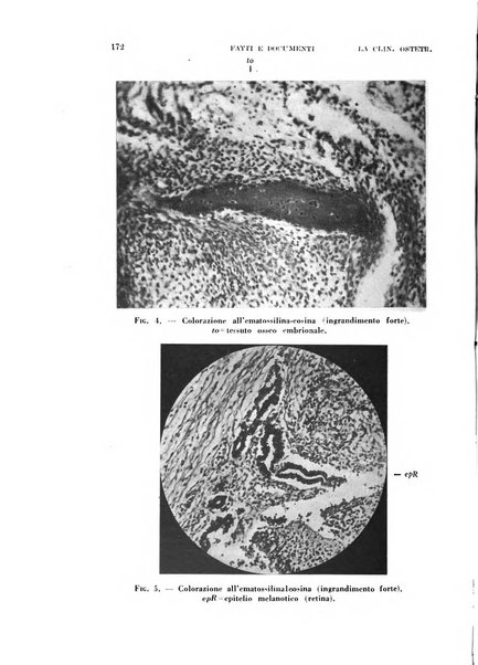 La clinica ostetrica rivista di ostetricia, ginecologia e pediatria. - A. 1, n. 1 (1899)-a. 40, n. 12 (dic. 1938)