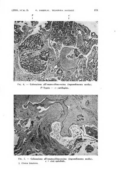 La clinica ostetrica rivista di ostetricia, ginecologia e pediatria. - A. 1, n. 1 (1899)-a. 40, n. 12 (dic. 1938)