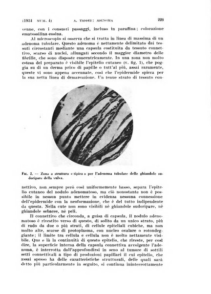 La clinica ostetrica rivista di ostetricia, ginecologia e pediatria. - A. 1, n. 1 (1899)-a. 40, n. 12 (dic. 1938)