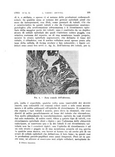 La clinica ostetrica rivista di ostetricia, ginecologia e pediatria. - A. 1, n. 1 (1899)-a. 40, n. 12 (dic. 1938)