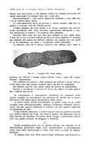 giornale/TO00181560/1934/unico/00000303