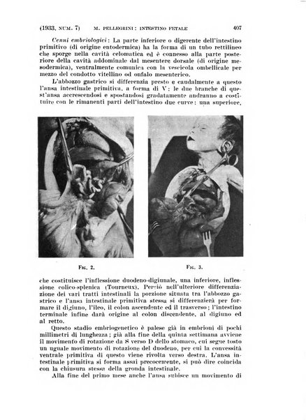 La clinica ostetrica rivista di ostetricia, ginecologia e pediatria. - A. 1, n. 1 (1899)-a. 40, n. 12 (dic. 1938)