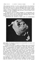 giornale/TO00181560/1934/unico/00000509