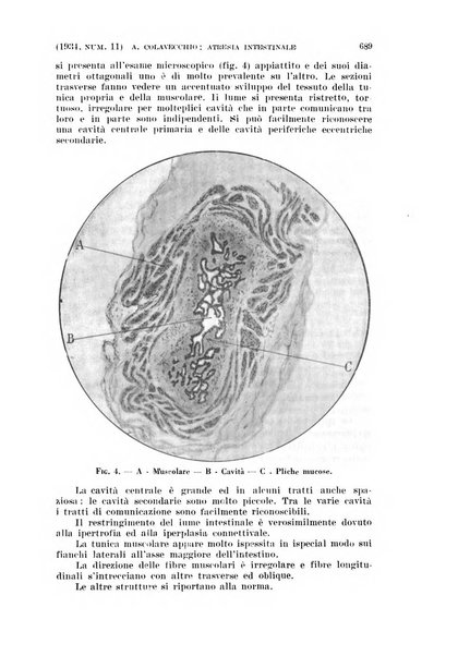 La clinica ostetrica rivista di ostetricia, ginecologia e pediatria. - A. 1, n. 1 (1899)-a. 40, n. 12 (dic. 1938)