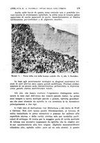 giornale/TO00181560/1938/unico/00000209