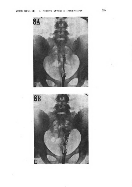 La clinica ostetrica rivista di ostetricia, ginecologia e pediatria. - A. 1, n. 1 (1899)-a. 40, n. 12 (dic. 1938)