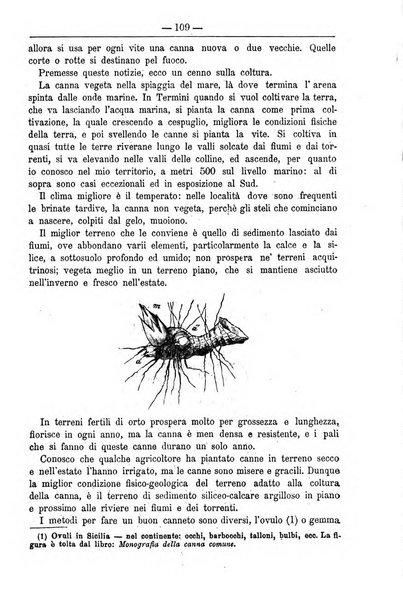 Il coltivatore giornale di agricoltura pratica