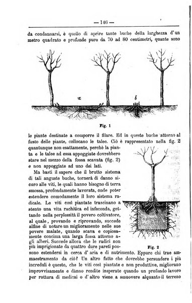 Il coltivatore giornale di agricoltura pratica