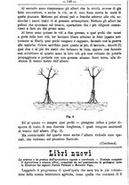 giornale/TO00181640/1884/unico/00000152