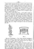 giornale/TO00181640/1884/unico/00000332