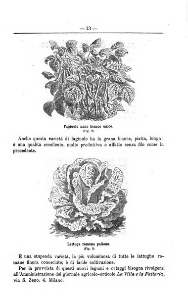 Il coltivatore giornale di agricoltura pratica