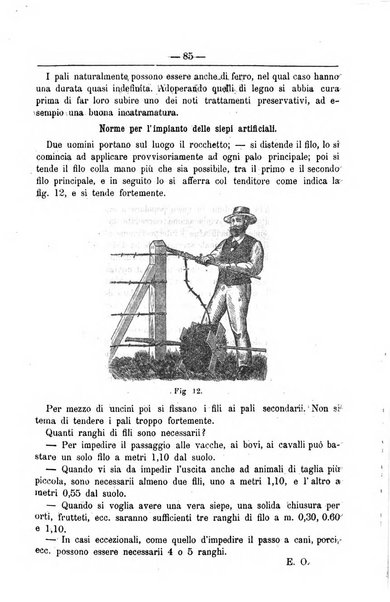 Il coltivatore giornale di agricoltura pratica