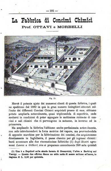 Il coltivatore giornale di agricoltura pratica