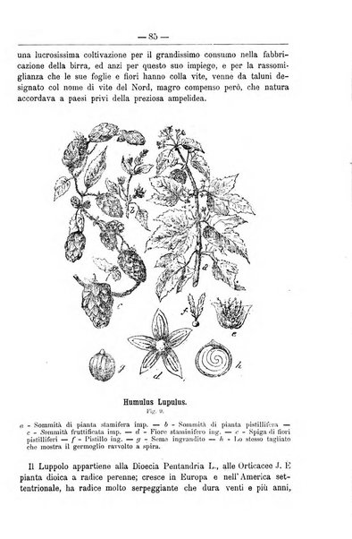 Il coltivatore giornale di agricoltura pratica