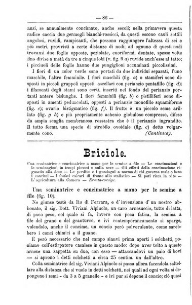 Il coltivatore giornale di agricoltura pratica