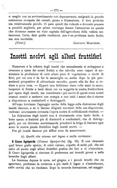 Il coltivatore giornale di agricoltura pratica